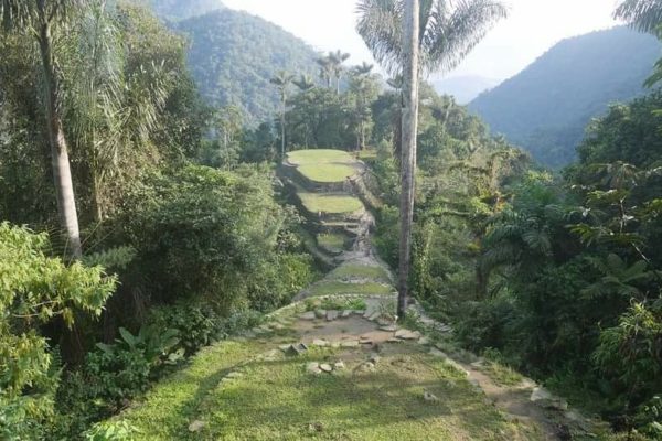 cacao-de-colombie_make-a-wish-01