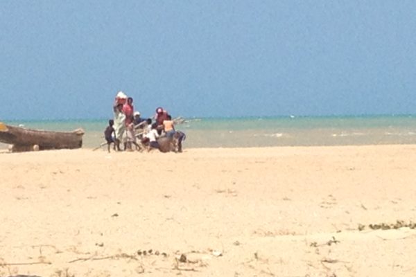cacao-de-colombie_make-a-wish-06